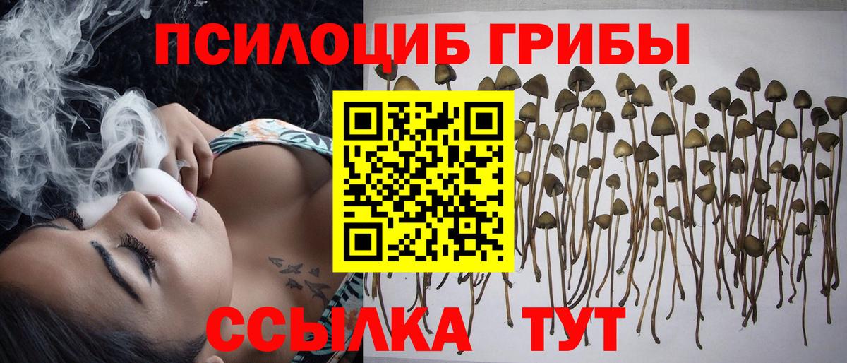 Псилоцибиновые грибы мицелий  Вход с VPN  Аксай 